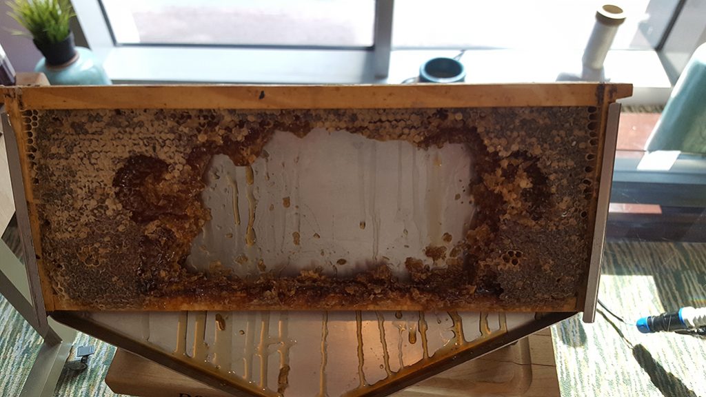 Hotel Marketing in Doha Qatar - Honey Comb at Rotana Hotel Breakfast Buffet Doha Qatar